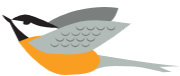 Bird flying icon image